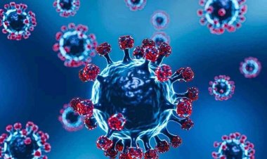 नौ महीने बाद शाजापुर में फिर जन्मा कोरोना