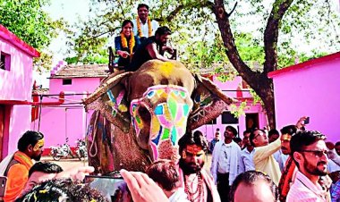 बेटी हो तो ऐसी: बढ़ाया गांव का मान तो हाथी पर बैठाकर किया सम्मान