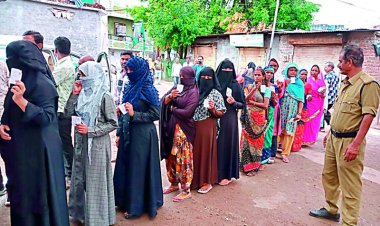 शाजापुर में 39 हजार 433 लोगों ने किया मतदान, वार्ड 12 में सबसे ज्यादा वोटिंग