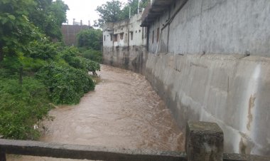 शाजापुर: नाले को किया डायवर्ट, धंसने लगी कॉलोनी की जमीन, चटक गई सडक़