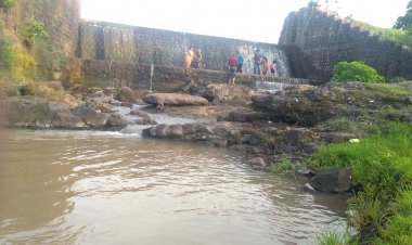 VIDEO : शाजापुर का संडे मूड, परिवार के साथ झरने पर मस्ती, हरियाली के बीच तफरी