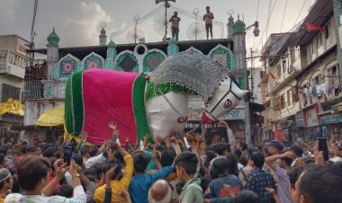 मोहर्रम: बाहर निकले एशिया के सबसे बड़े दुलदुल